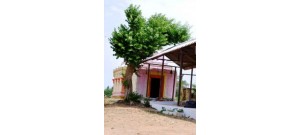 கத்தாங்கண்ணி